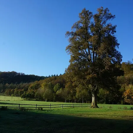 Vakantiehuis Gut Wenne Eslohe